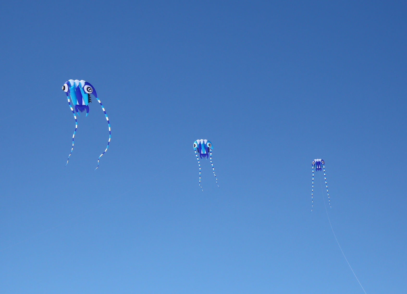 Color the Wind Kite Festival 2019 (21).jpg